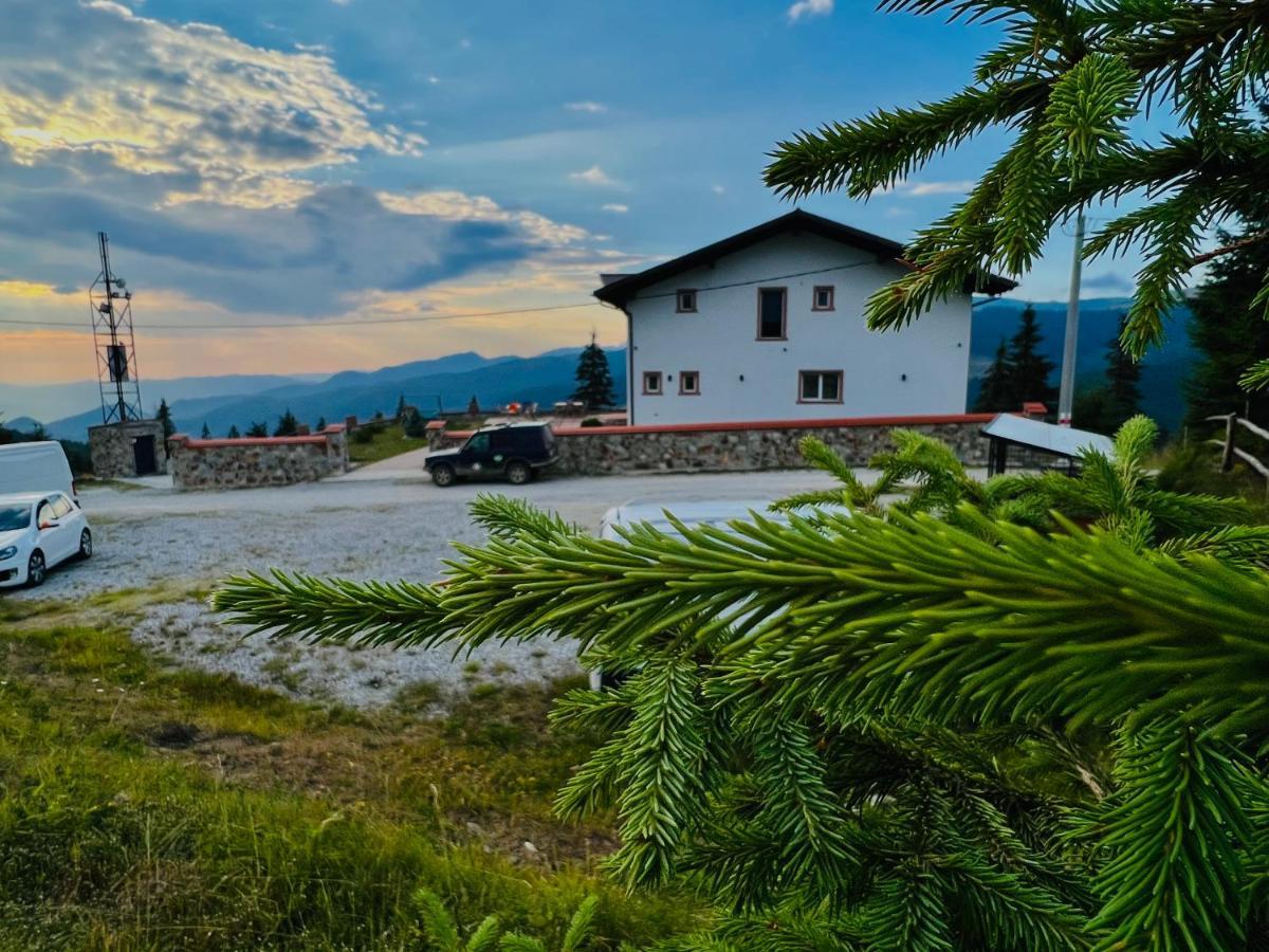 Pensiunea Mandruleanu Borşa Exterior foto