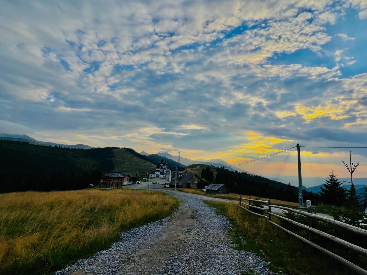 Pensiunea Mandruleanu Borşa Exterior foto